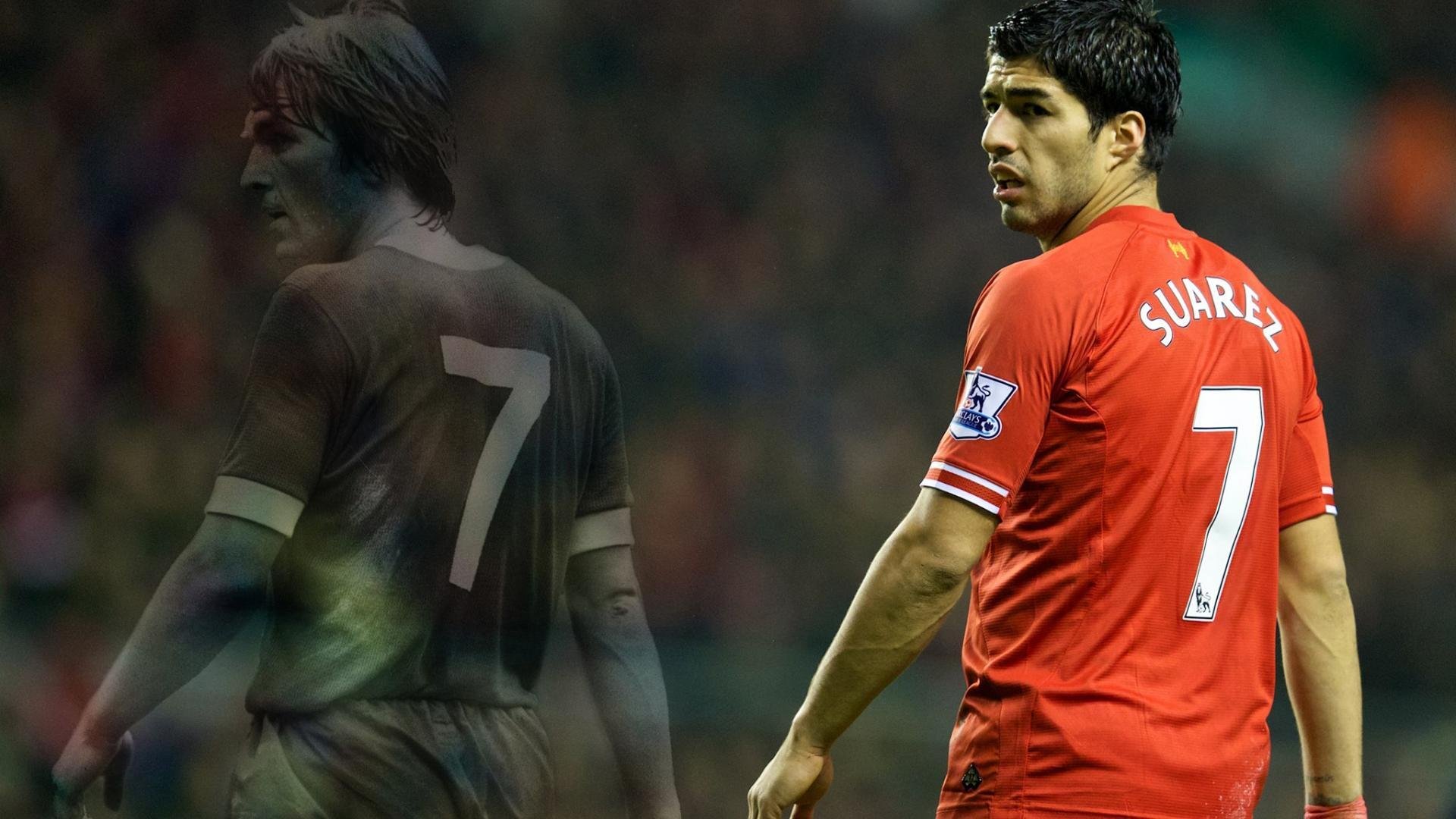 职业联赛规则调整提升比赛公平性和竞技观赏性，职业联赛体系